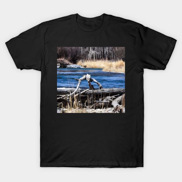 Fallen driftwood T-Shirt by CanadianWild418